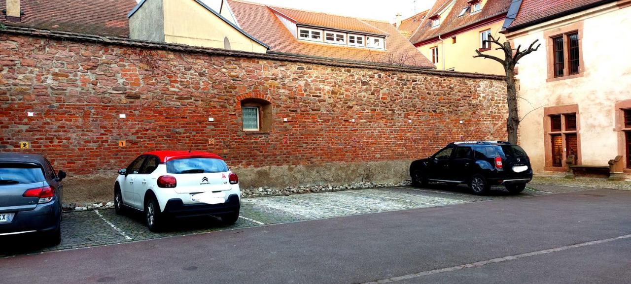 Le Rhenanus Jacques Taurellus - Appartement Duplex Au Calme - Centre Ville - Parking Gratuit Sélestat Dış mekan fotoğraf