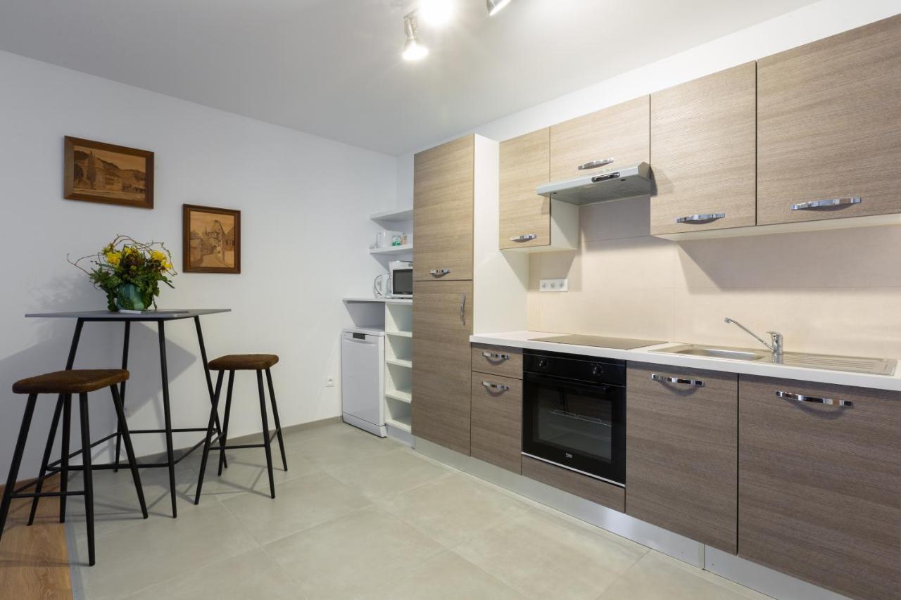 Le Rhenanus Jacques Taurellus - Appartement Duplex Au Calme - Centre Ville - Parking Gratuit Sélestat Dış mekan fotoğraf